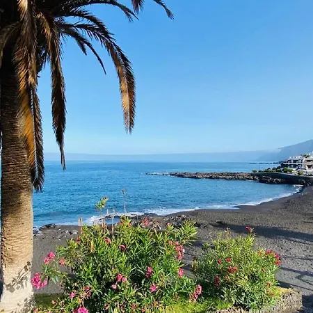 Buenavista Sunflower In Playa La Arena